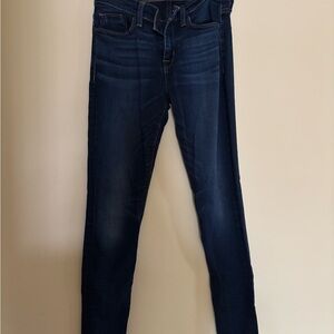 Hudson Jeans Blue Skinny Denim with Stretch